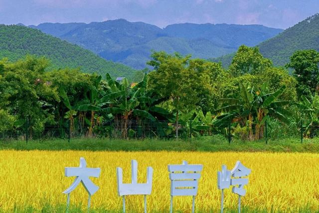 跟着赛事游鹤山！动起来！用运动方式打开鹤山～