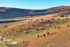 河北丰宁：坝上草原秋晨景如画图片