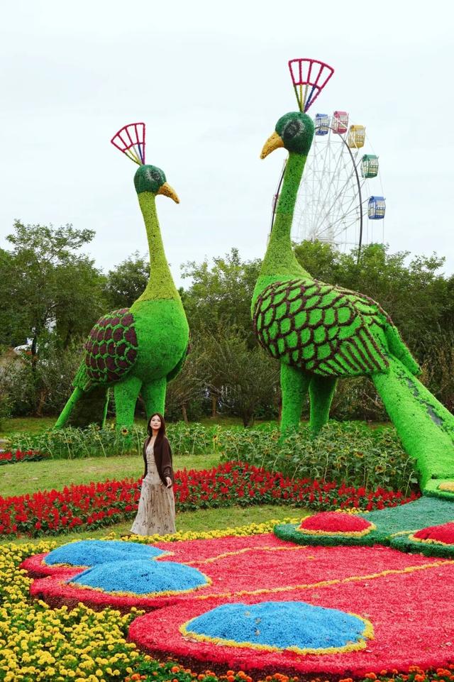 门票免费送！里水百亩花海上新！拍照遛娃圣地→