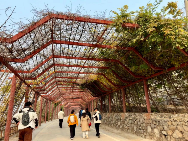 赴一场秋光，致一份初心——2025华夏时报社健步走活动圆满收官