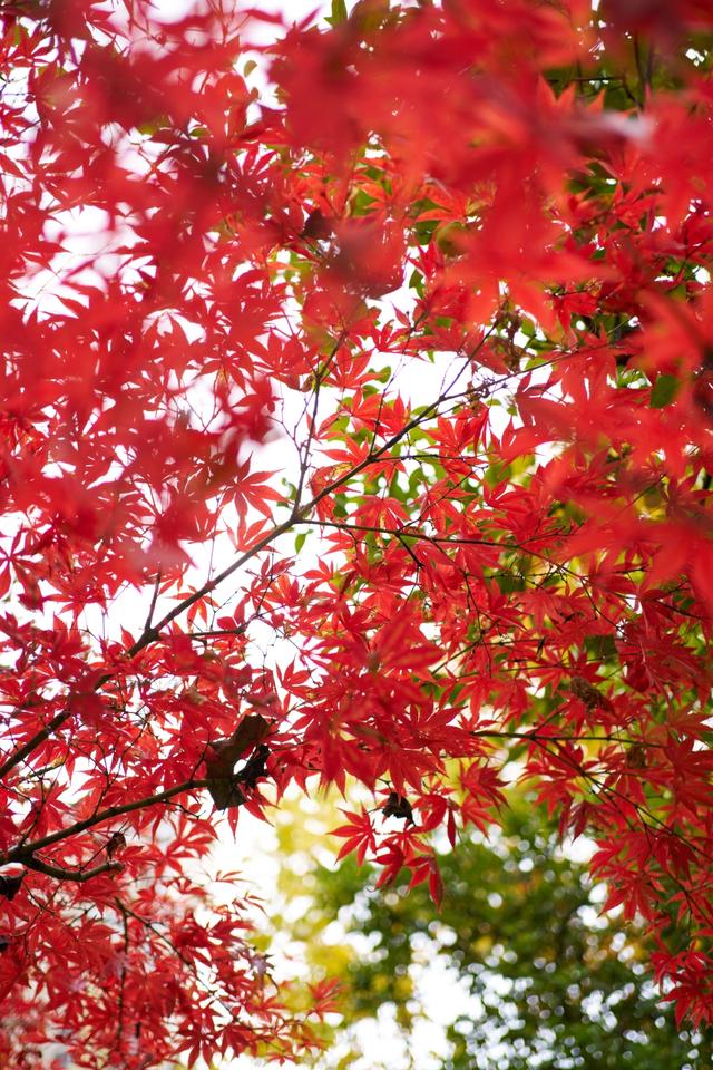 【天眼影像】来七星关拍冬日氛围感美照