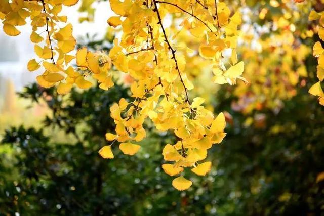 镇江，你变了！