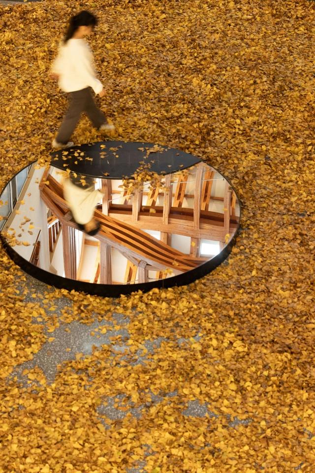 复兴公园“雨滴长廊”有后续：公园落叶已铺在上海交大这栋楼