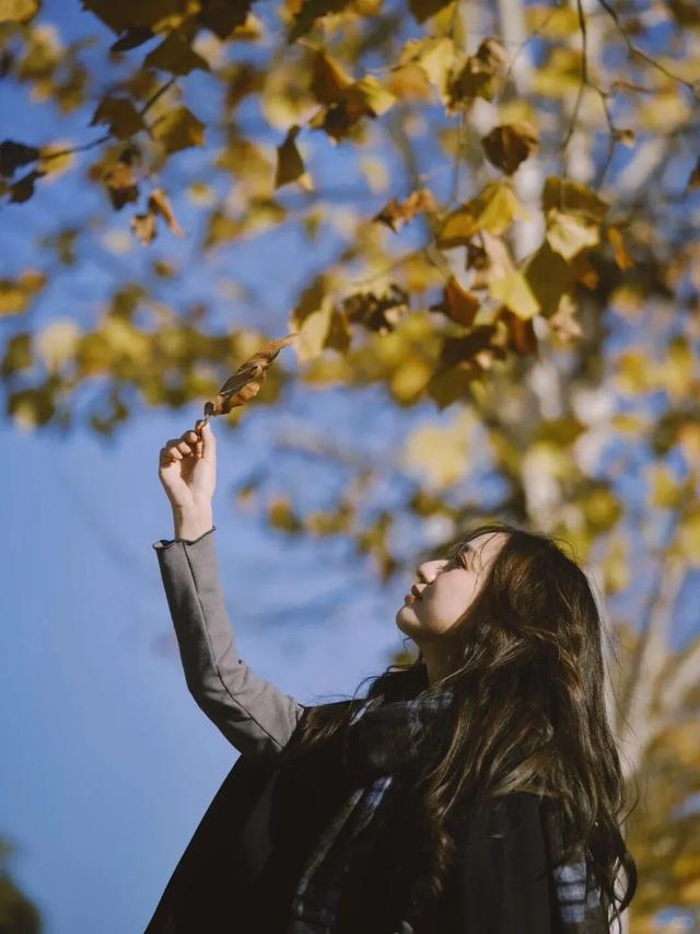 江西的这些“赏桐”胜地，治愈又出片！