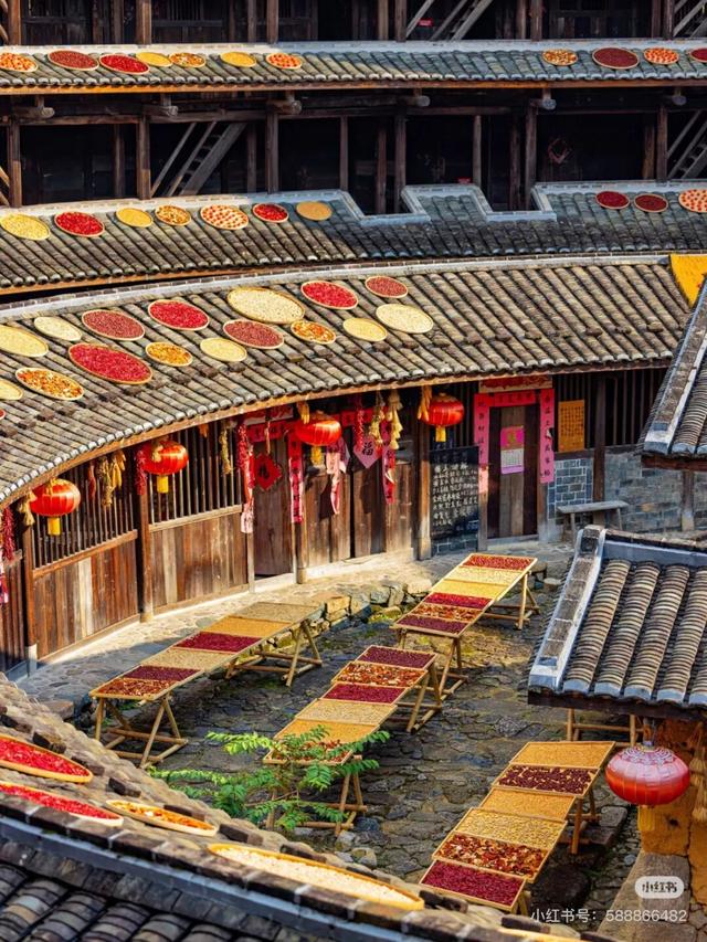 梯田、稻浪、湿地粉黛……在龙岩不必远行，就可“定制”你的手机壁纸~