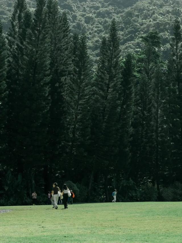 深圳经济特区，45岁生日快乐！