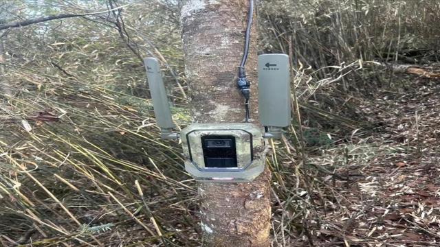 生态绘新卷 各地绘就绿色发展好风光