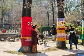 北京：校园树木穿“毛衣”图片