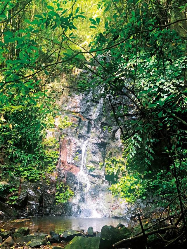 城市太热？快跳进融水的“果冻水”清凉一下 | “宝藏凉县”避暑攻略③