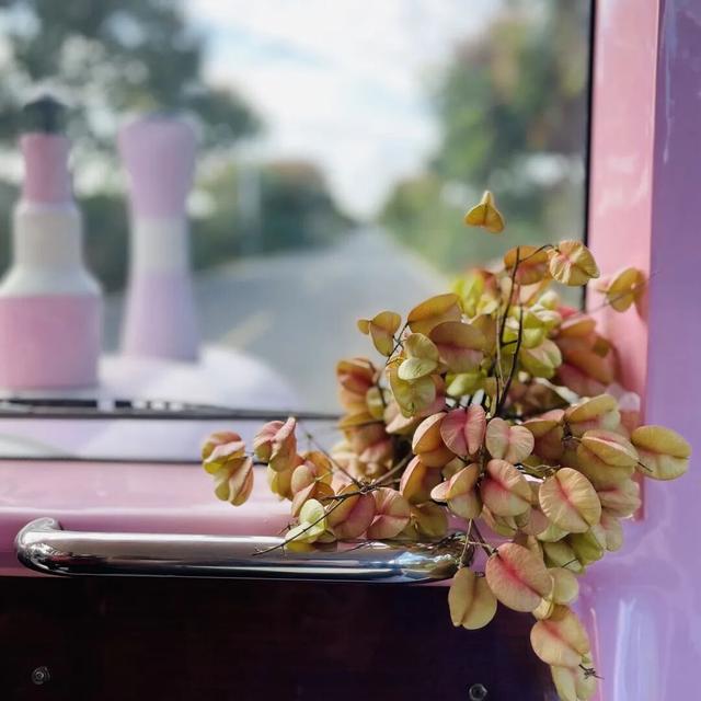 变了变了！秋日翔安，一路“繁花”