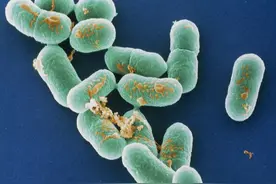 冰箱里的肉最多能“冻”多久？这组数字快记好！转给家人图片