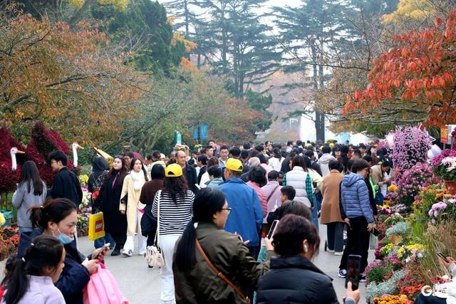 街角的光影、海边的风、林间的静谧……Mark秋日限定诗意