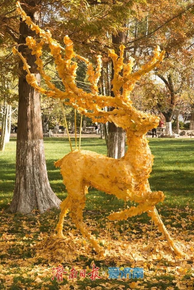 一年四季 泉在济南丨五龙潭水杉林现“银杏鹿”，落叶巧变打卡美景