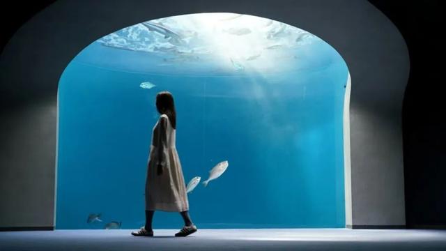 为什么上海人宁愿去日本？