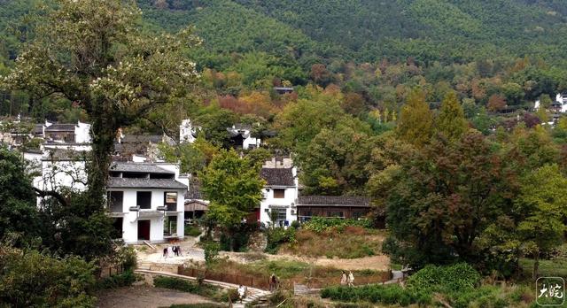 安徽黟县：斑斓塔川惹人醉