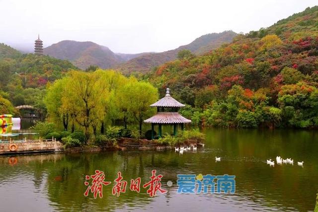 一年四季 泉在济南丨秋雨润谷，诗画相融！红叶谷国庆期间打造沉浸式诗意体验