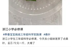 10万个蚕盒被抢空！突然爆了！浙江妈妈：有娃的都懂图片