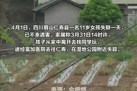 四川仁寿警方通报“女孩外出玩耍未归”：已发现其尸体 嫌疑人被抓获图片