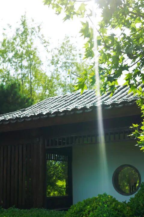 家门口的“诗与远方”！石景山这个宝藏公园更新开放