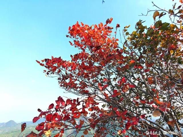 秋日限定！济南蚰蜒山红叶渐染