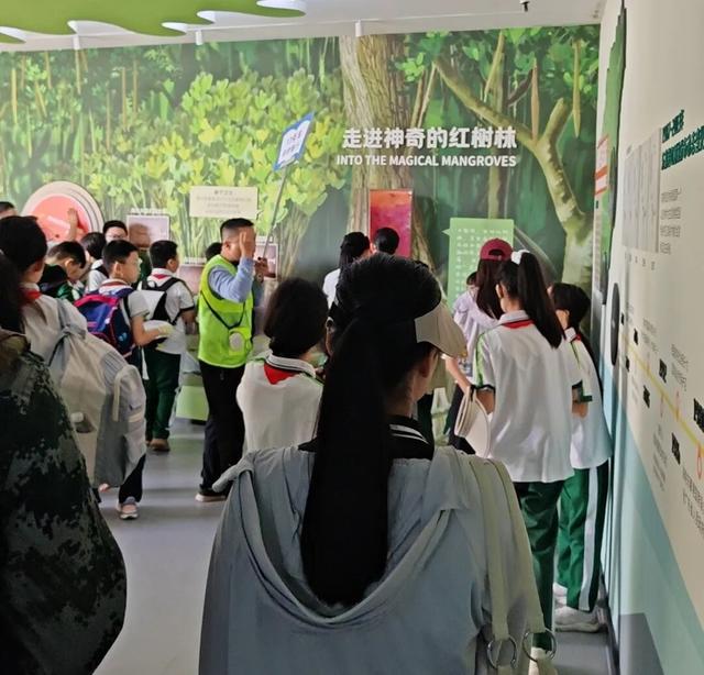 东寨港红树林研学进行时，自然课堂里的欢乐时光～