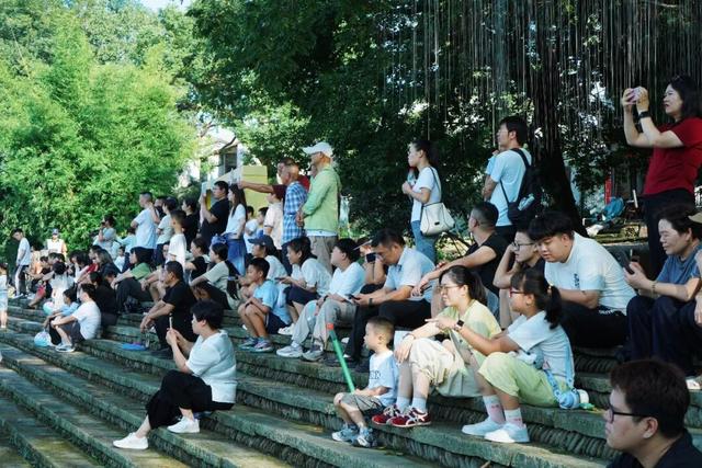 这两天，莲都这里人气爆棚！