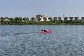 去湿地观鸟、划艇、访鹿……申城家门口的野趣秘境全攻略图片