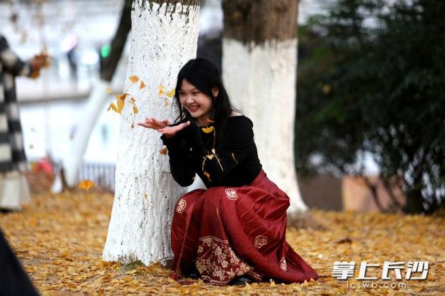 组图｜又是好天气，市民乐游园