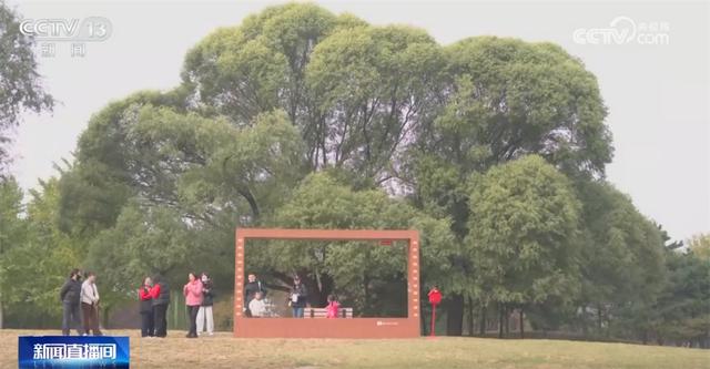 多场景联动打造“赏秋游”沉浸式新体验 “秋日经济”带火文旅消费新实践