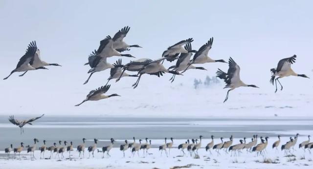【你好·昭通】遇见大山包