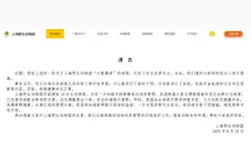 大象被“霸凌”？“几分钟内被其他大象反复攻击”，上海野生动物园回应→图片