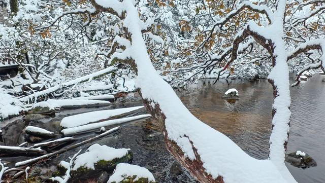 秋日雪景 | 雪后的螺髻山到底有多美？快来看！