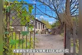 “东北雨姐”七天未更新，掉粉54万！被疑跑路，换账号？最新回应图片