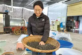 林下生“金” 致富有门图片