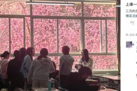 云南这所高校的樱花火了！网友：原来小说里的场景真实存在图片