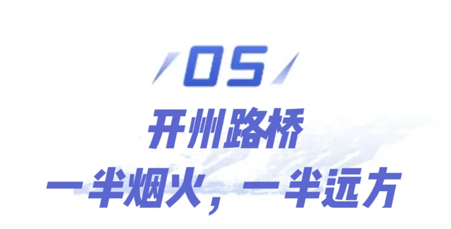 瞧～濮阳的“桥桥”