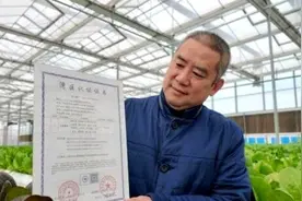 喝纯净水、住阳光房，济南蔬菜拿下“湾区认证”图片