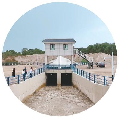 为金色胡杨撑起保护伞