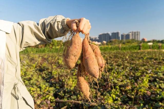 贤鲁跑名额增加！环岛吃喝玩乐购全攻略→