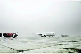 风挡玻璃原片、隔音隔热用棉毡、铝材、安全带……细数C919上的那些“重庆造”图片