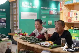 三农深度调查|农产品上行，如何铺就“坦途”？图片