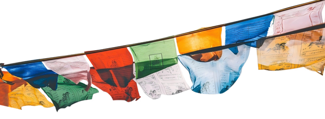 重磅预告丨首届“珠峰·申情”购物节11月8日起登陆上海杨浦！日喀则「高原好物」一站集结