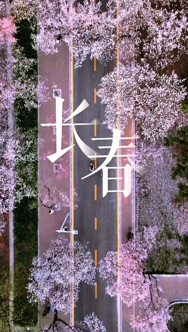 FM96.8 | 长驻春日，常怀新生——与辉同行与长春联名推出城市宣传片