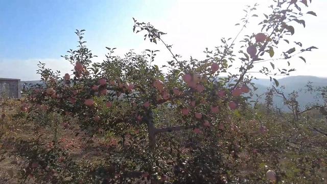 生态绘新卷 各地绘就绿色发展好风光