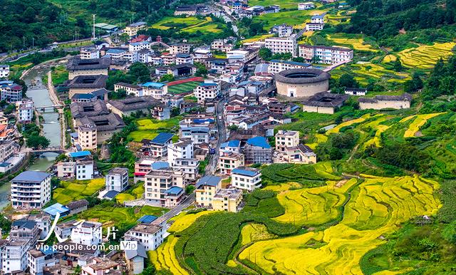 福建龙岩：永定土楼景美如画