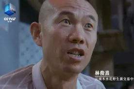 央视8分多钟！昆明野生菌亮相图片