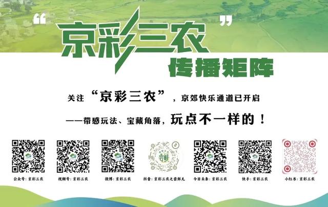 第一书记·第一发现｜生态涵养地 果韵黄峪口（内含福利）