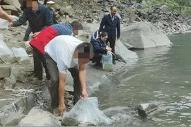 “以鱼还渔”，四川4人放流11000尾鱼苗偿还“生态债”图片