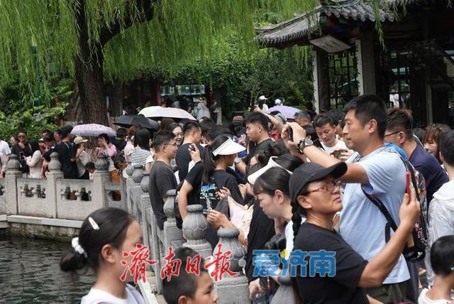 一年四季 泉在济南丨泉声叮咚迎客至 盛夏济南“泉水游”持续火热