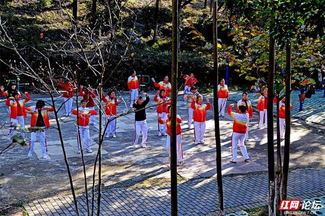 岁暖时刻丨无需远行，中坡山便是怀化的诗与远方